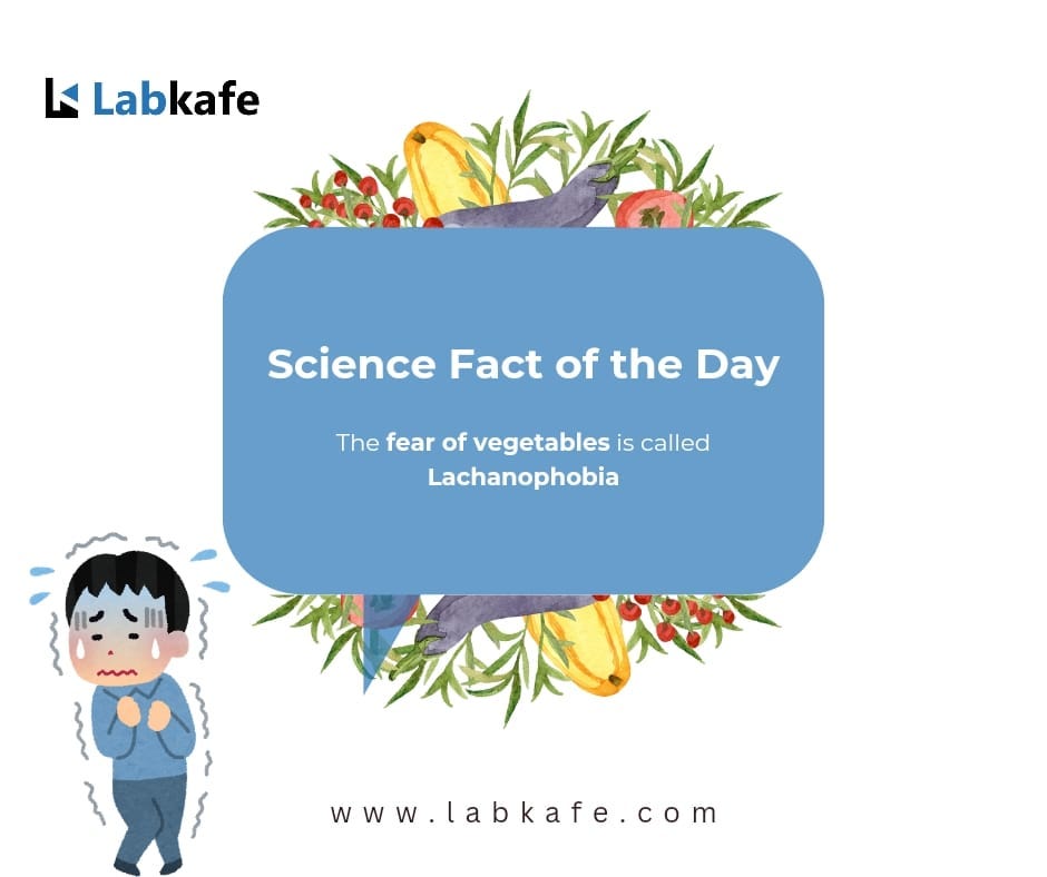 🥦 Lachanophobia — When Veggies Are a Real Fear! 😱🥕
