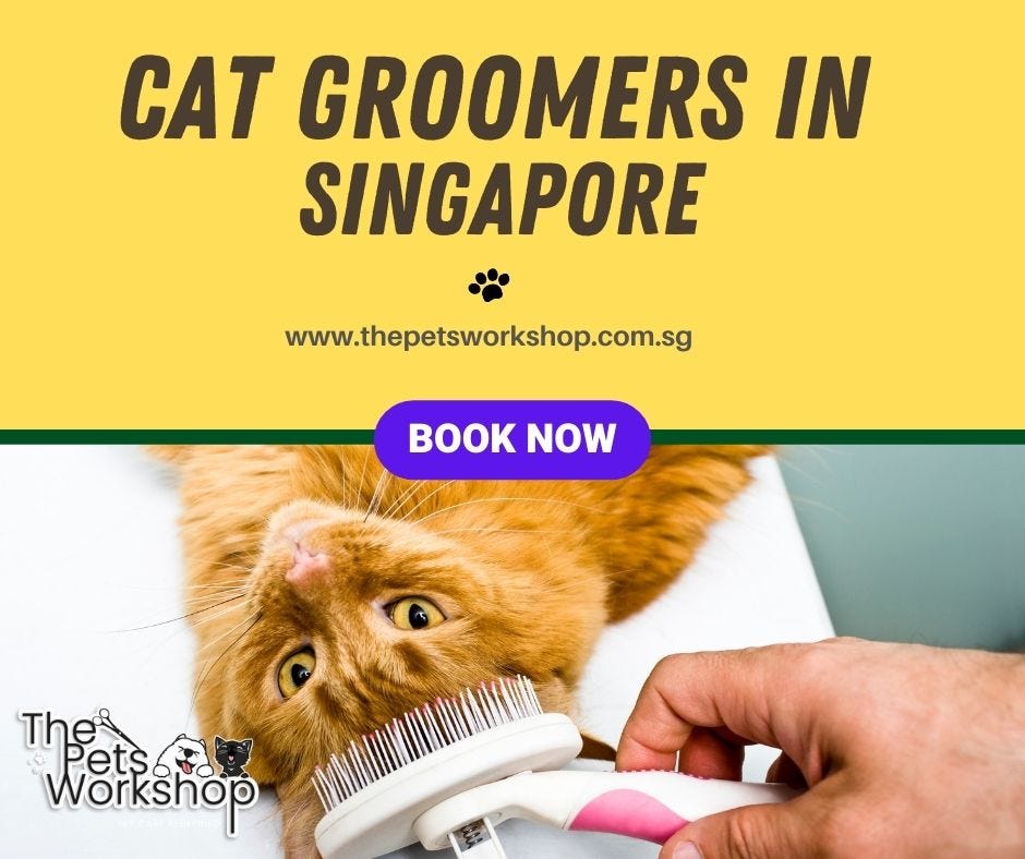 Understanding Cat Types and Grooming Duration The Pets by