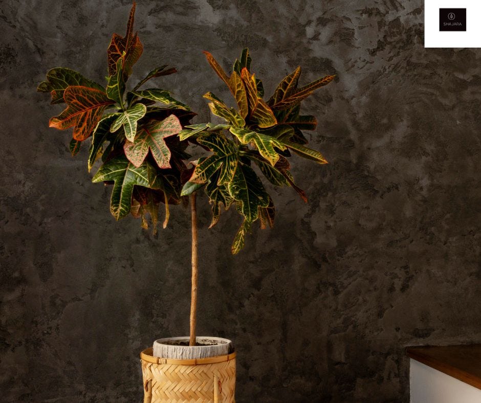 Why Luxury Artificial Plants Are a Smart Investment by shajara Artificial Plants Dubai May