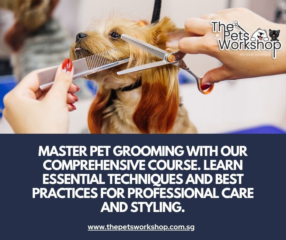 Enrolling in a pet grooming course Singapore can be incredibly beneficial for pet owners by