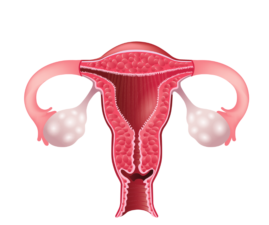 I, a childless, single woman, got my tubes tied. Do I regret it? by