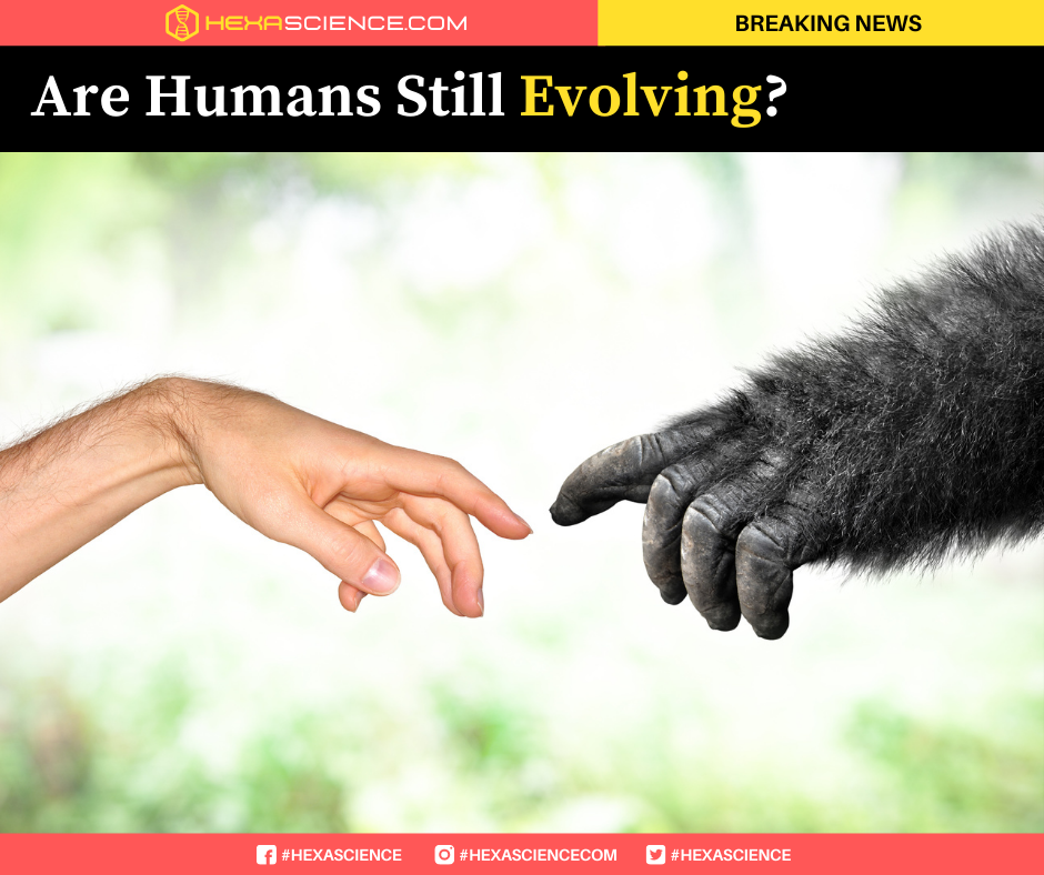 Are Humans Still Evolving? - HexaScience - Medium