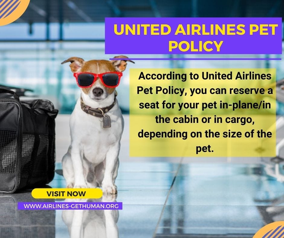 United Airlines Pet Policy Airlines GetHuman Medium
