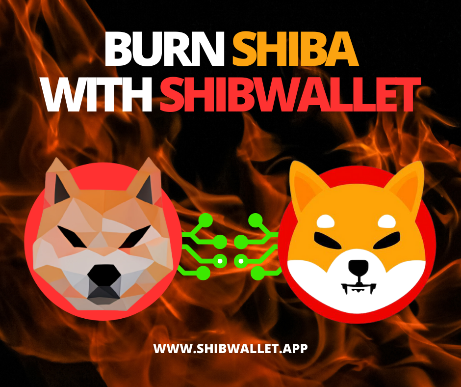 Burn Baby Burn Shibarium Bridge Allows for Groundbreaking Token