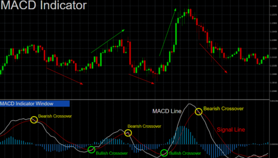 Professional Forex Technical Analysis with MACD and RSI