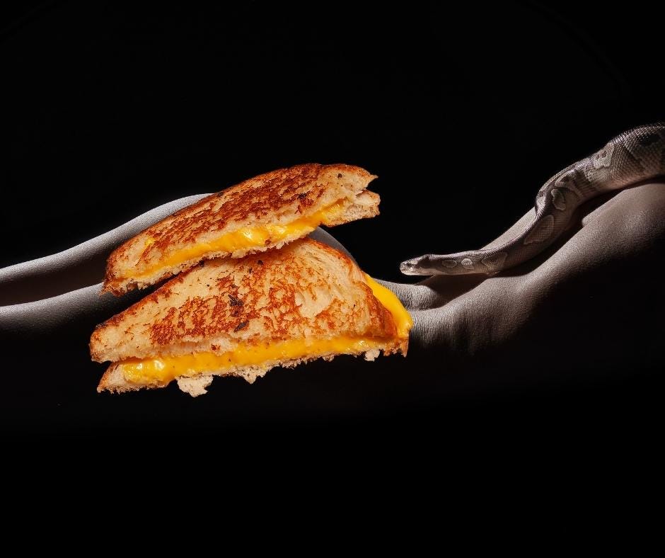 The Horizontally Cut Grilled Cheese Sandwich Armageddon MuddyUm