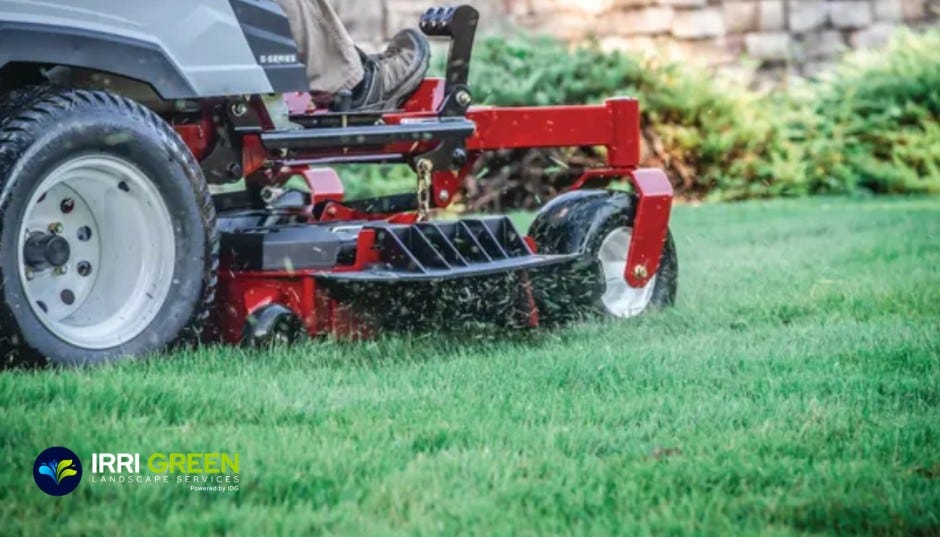 Why Choosing a Landscape Maintenance Company Improves Water Efficiency