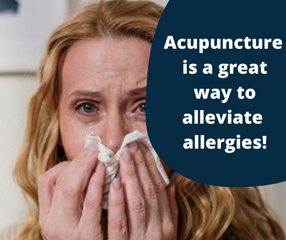 Suffering from Chronic Allergy? Try Acupuncture! by Dr. Li Zheng