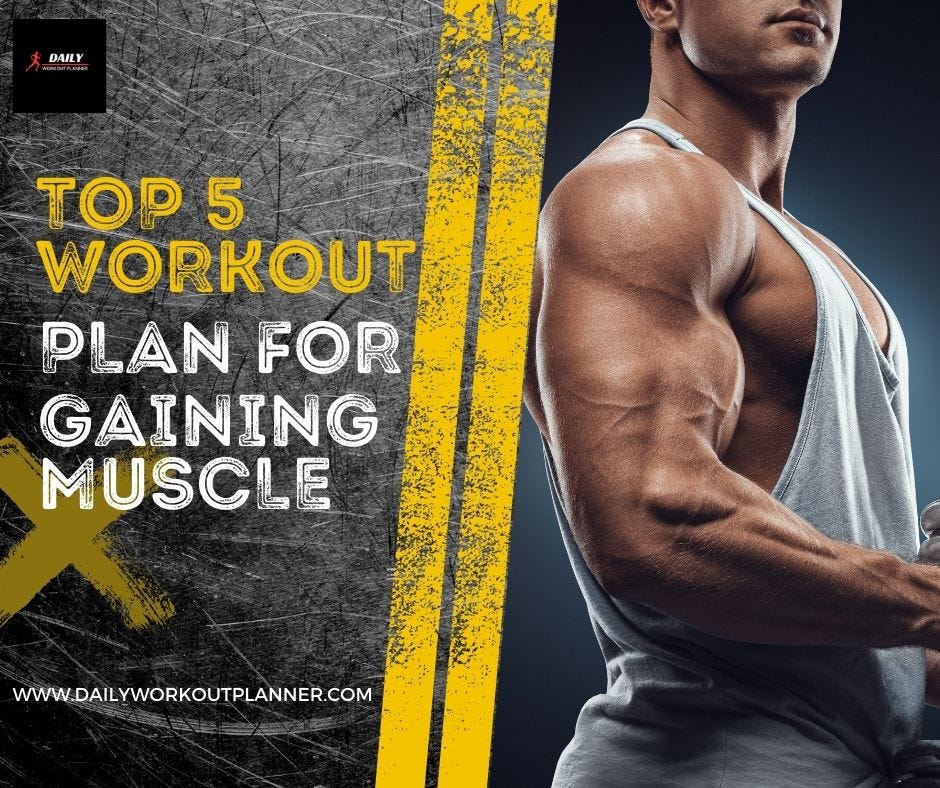 Latest Top 5 Workout Plan for Gaining Muscle dailyworkoutpolanner