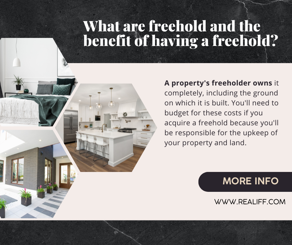 What are freehold and the benefit of having a freehold? Realiff Real