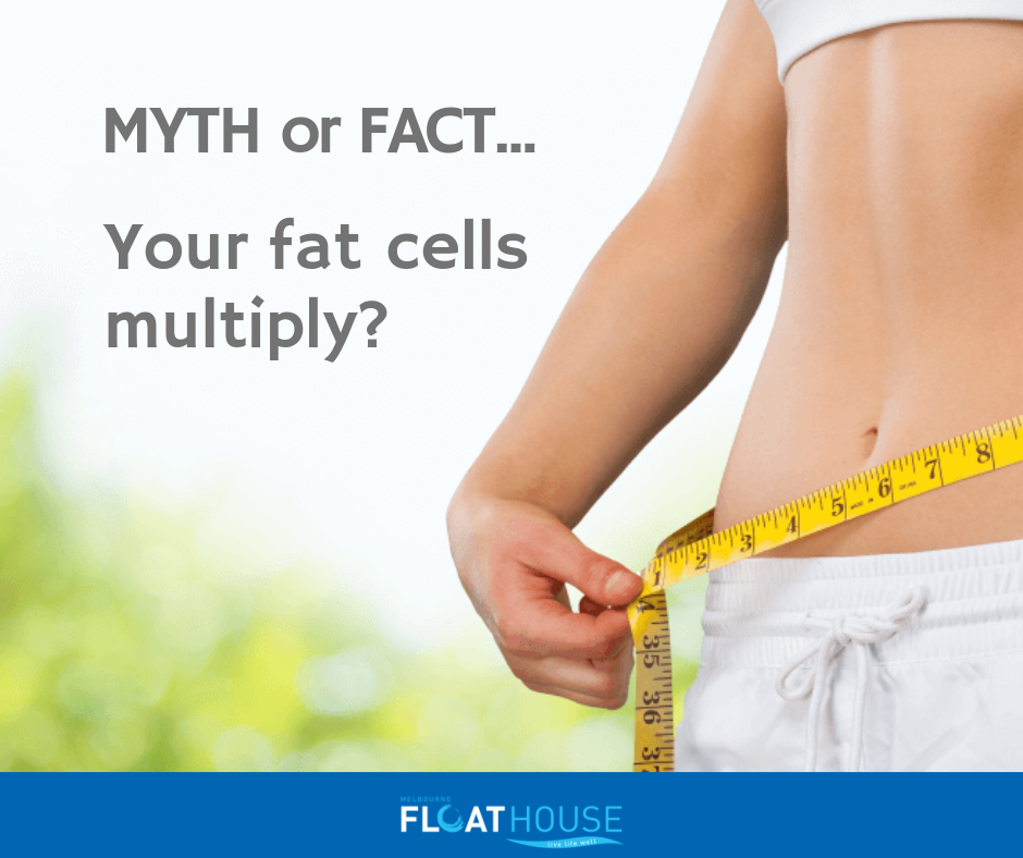 MYTH or FACT — Your Fat Cells Multiply? by Melbourne Float House Medium