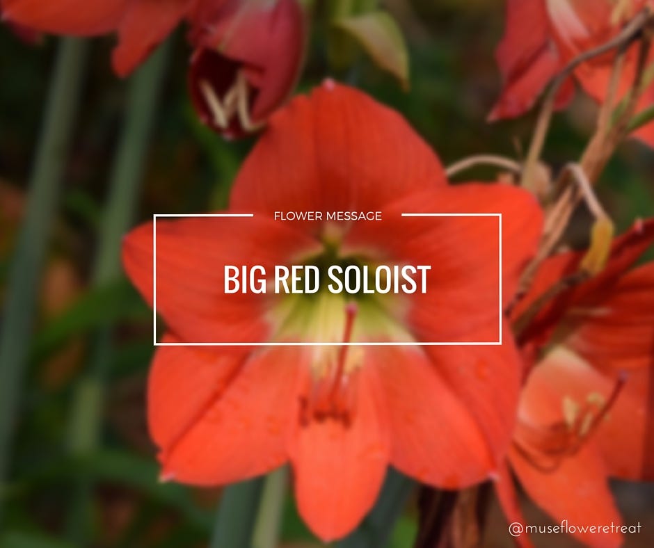 Flower Message — I am Safe to Express my Truth by Tania Ho Medium