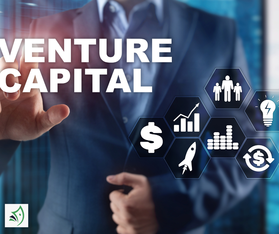 Corporate Venture Capital’s Influence on Startups Evolution Unveiled
