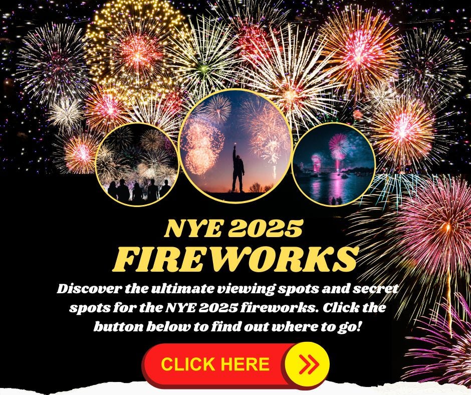 Vibrant concert crowd celebrating New Year