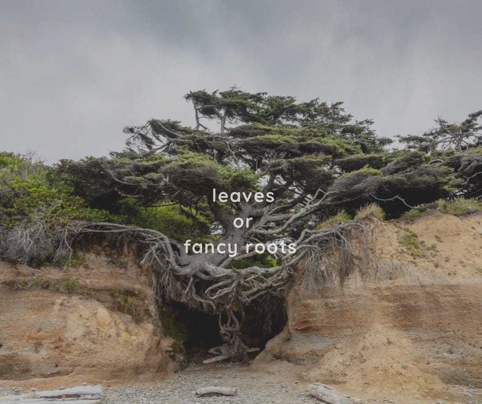How different can a tree be?. Is it leaves or fancy roots… | by Your ...