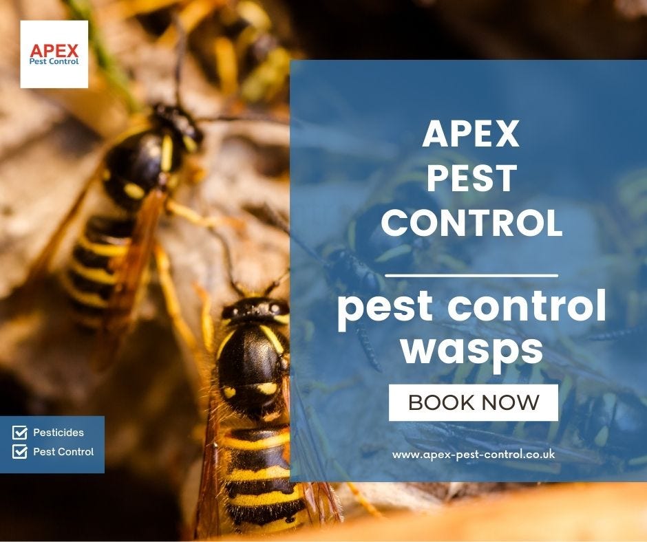 What Is The Most Effective Method For Removing Wasp Nests by Apex