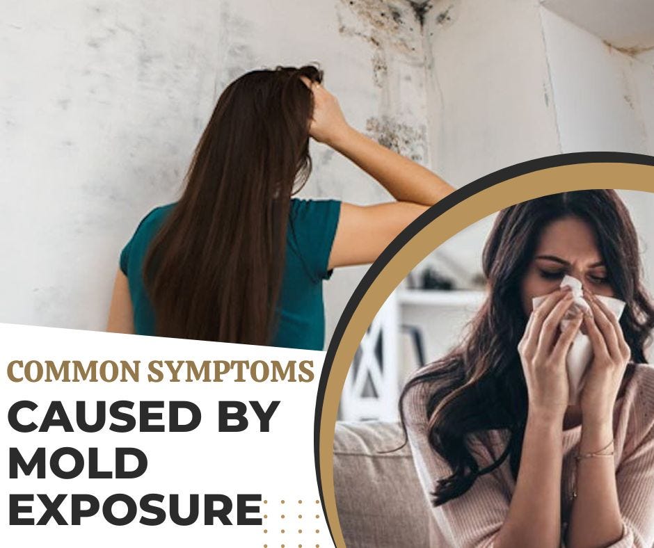 Common Symptoms Caused by Mold Exposure JM Environmental, Inc. Medium