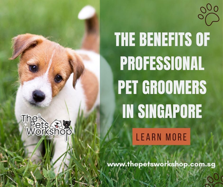 Professional groomers create a calm and controlled environment. — The