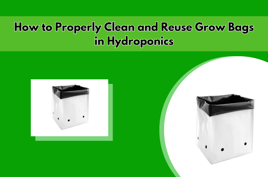 How to Properly Clean and Reuse Grow Bags in Hydroponics