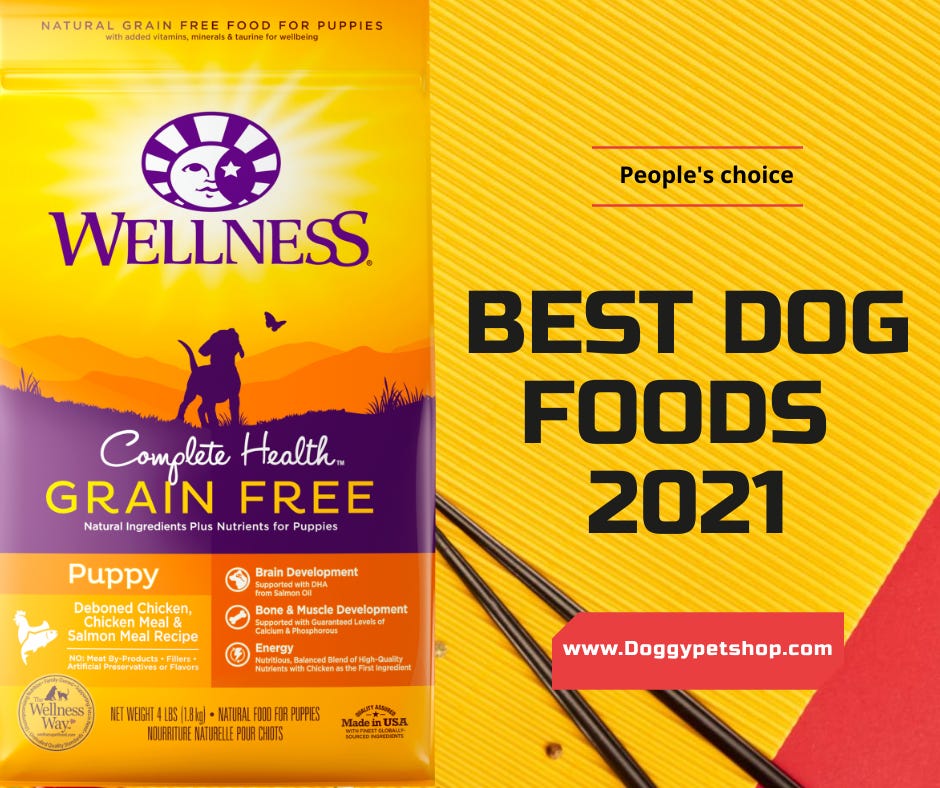 What Are The Best Dog Food Options in 2021? by James Christopher Medium