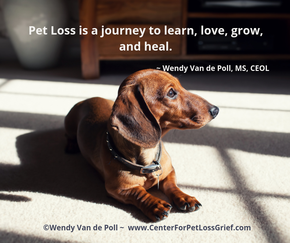 dog quotes loss