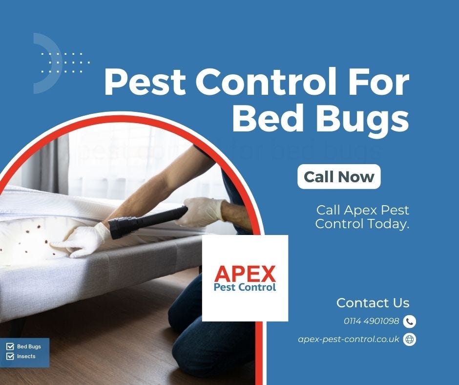 What Is The Most Effective Way Of Getting Rid Of Bed Bugs by Apex