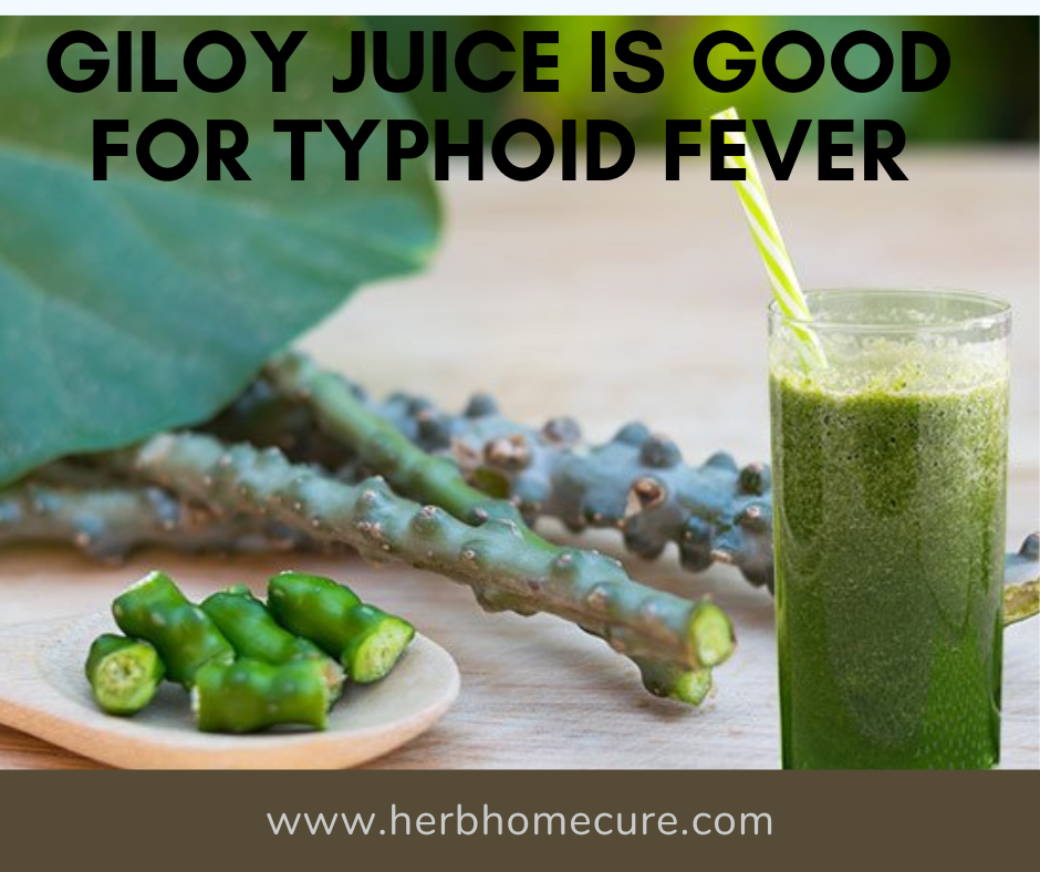 Giloy Juice Is Good For Typhoid Fever Rohan panwar Medium