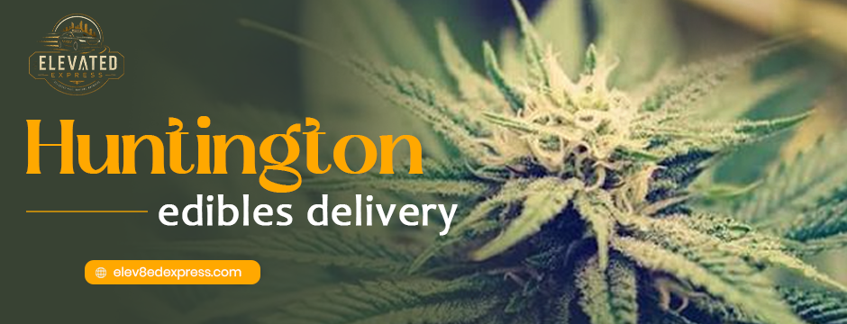 Huntington edibles delivery — Get Premium Cannabis Edibles Delivered Fast with Elevated Express