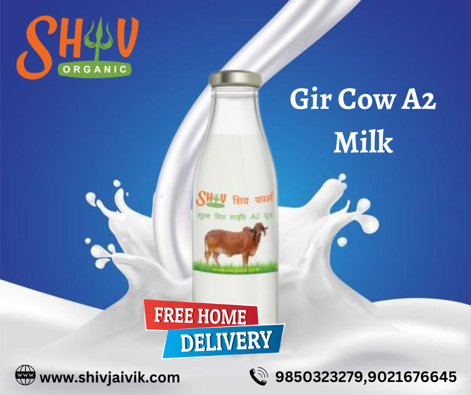 Why is A2 Cow Milk Easy to Digest than Other Milk? by Shivanipadole