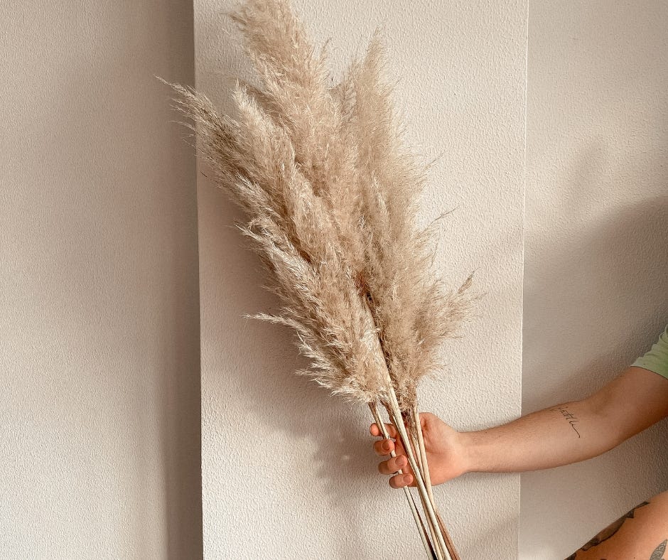 Decorate your home with the best Natural Pampas Grass, by One Way Home