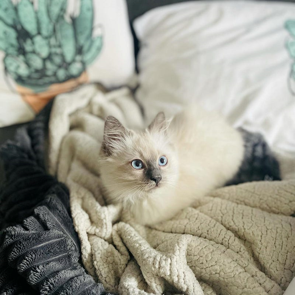 Getting My First Followers on Medium A Beginner’s Guide Without