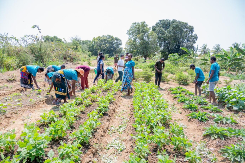 Madagascar : Production locale et alimentation scolaire, un modèle communautaire qui nourrit…