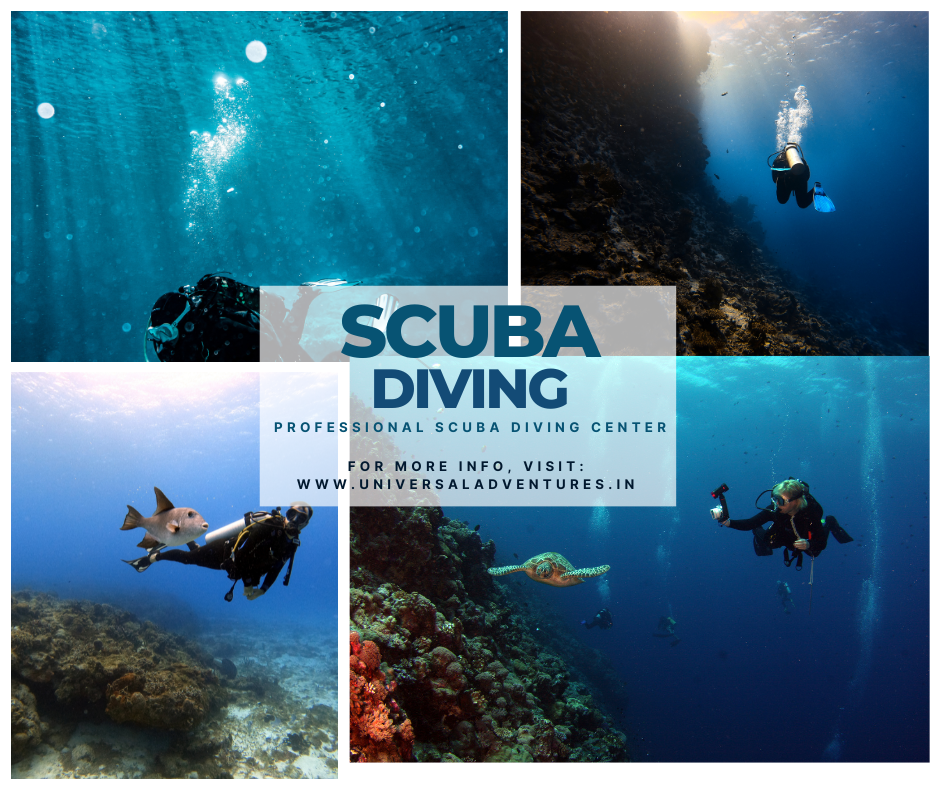Thinking of Scuba Diving in Goa? Here are 5 Reasons Why! by