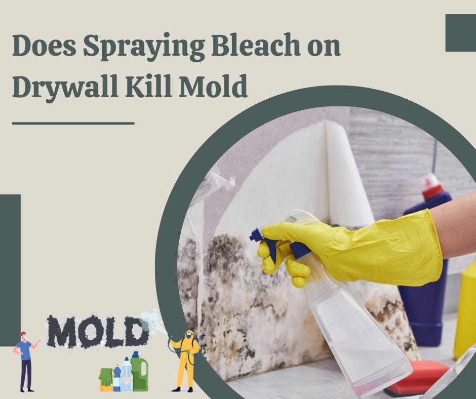 Does Spraying Bleach on Drywall Kill Mold JM Environmental Inc
