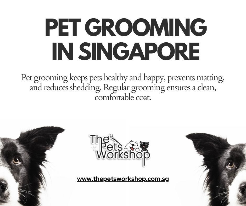 Grooming Bliss Professional Groomers Singapore — The Pets