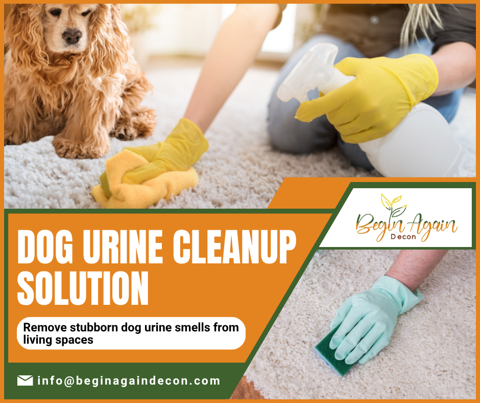 Dog Urine Odor Cleaning Services