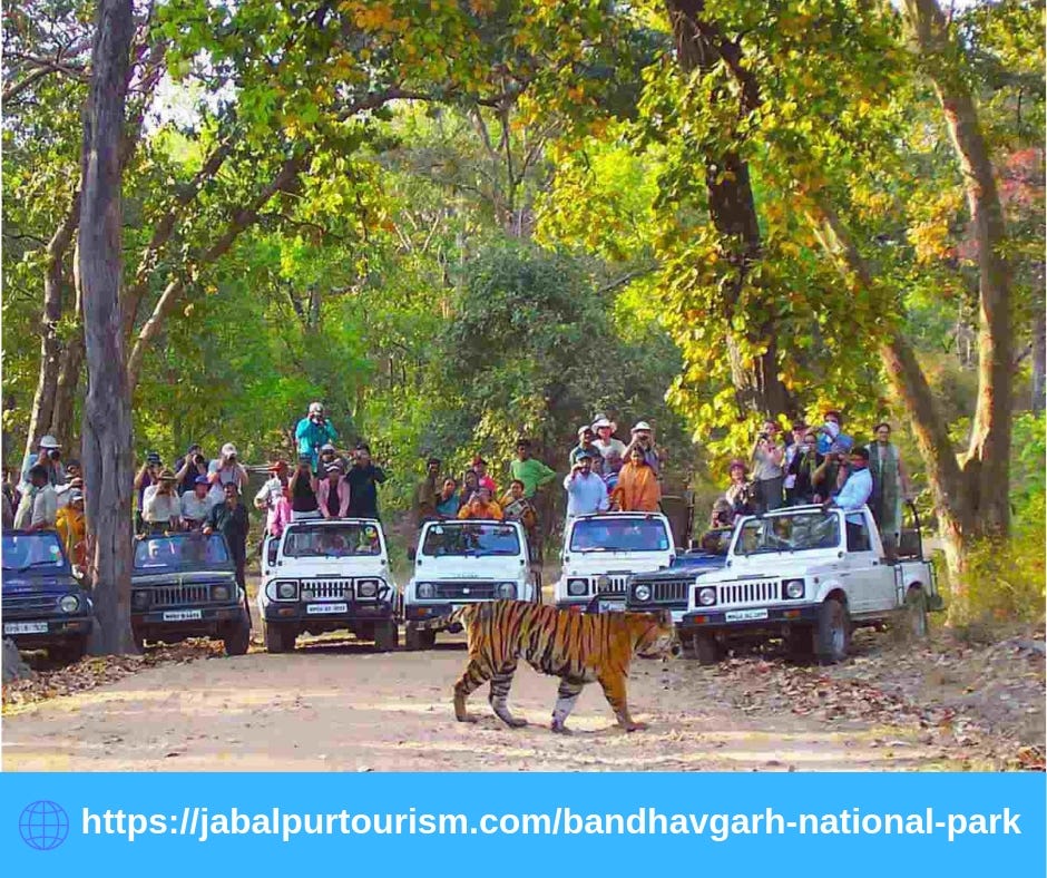 Why You Really Need Best Bandhavgarh Tour Packages | by Tourismjabalpur ...