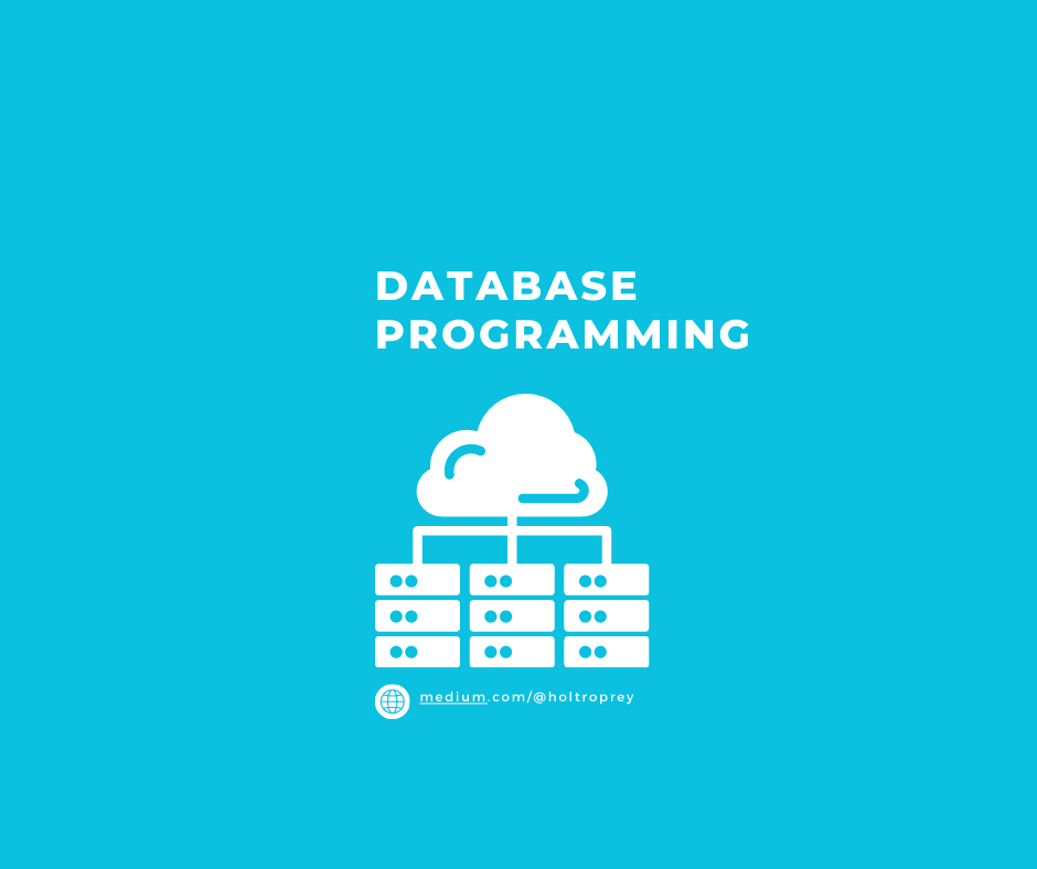 Building A Database Programming Project: A Case Study of Supermarket ...