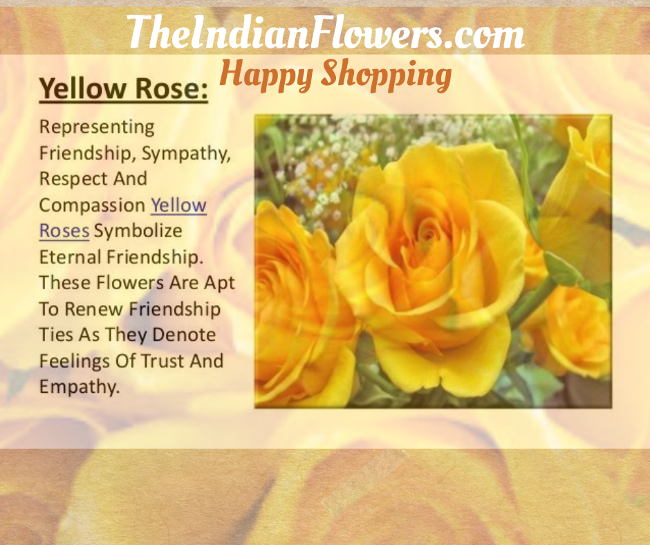 Golden Elegance: The Timeless Charm of Yellow Roses | by Indianflowers ...