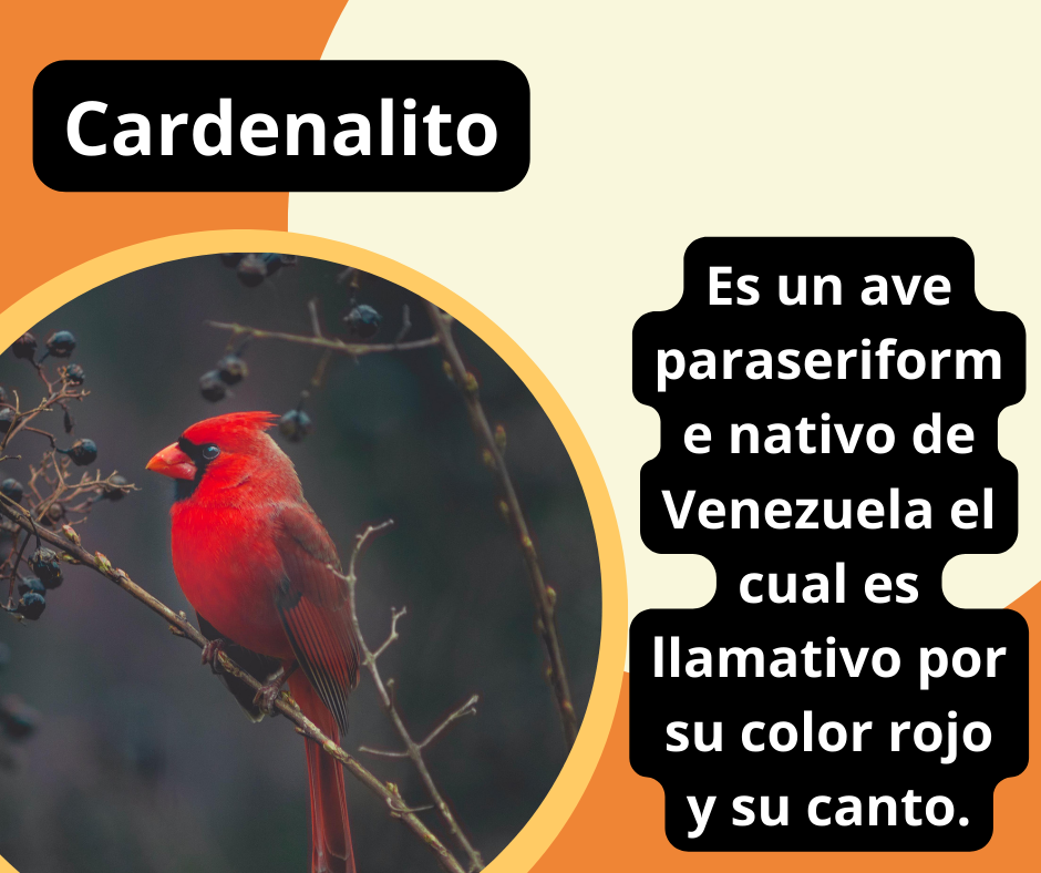 ¿Sabes donde se pueden encontrar?