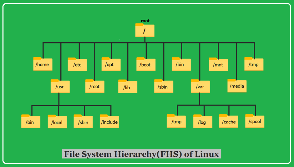 File system and Hierarchy in linux | by Deepti Sharma | Jun, 2024 | Medium