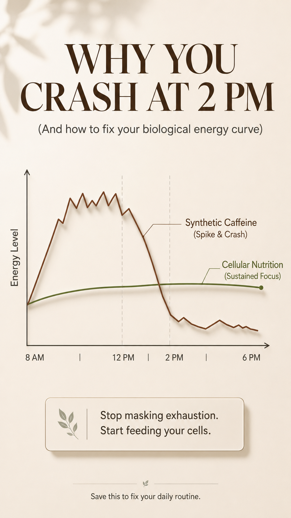 The Real Reason You Crash at 2 PM (And The 1-Gram Daily Habit That Fixed It)