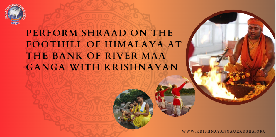 Understanding Shradh (Pitru Paksha) in Hindu Tradition