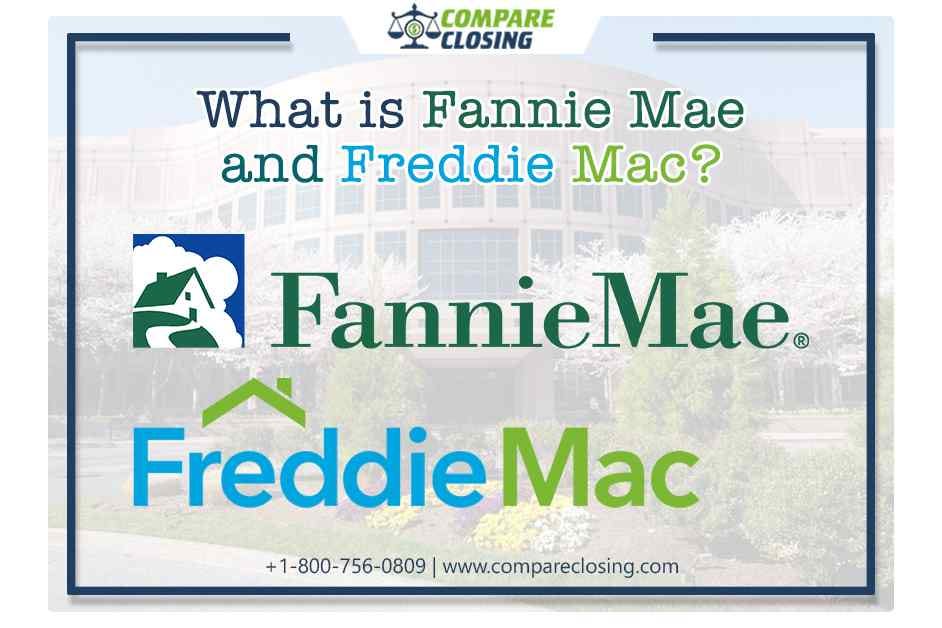 What Are Fannie Mae and Freddie Mac? — The Supreme Details by Compare Closing LLC Medium