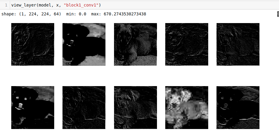 Visualize your CNN Model. Visualizing How Convolutional Neural… | by ...