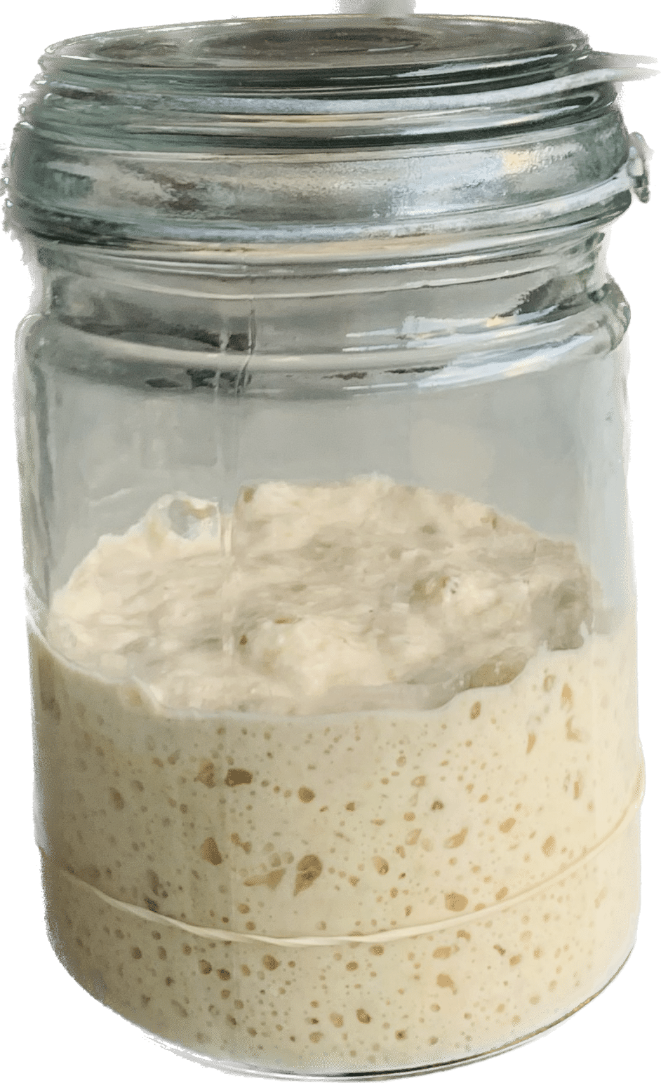 Learn the Art of Sourdough Starter Recipe with a Free 8Day Course