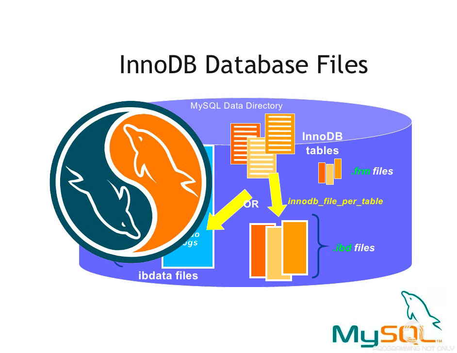 🛢️ MySQL Database Errors & Solutions (Real-World Scenarios) | by DevOps ...
