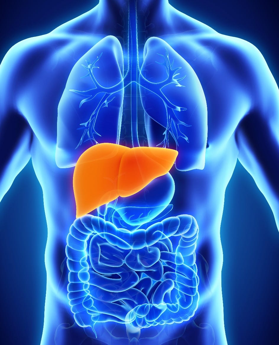 Liver Disease (Liver Disorders).. Human Liver by Dr.Richard Hack