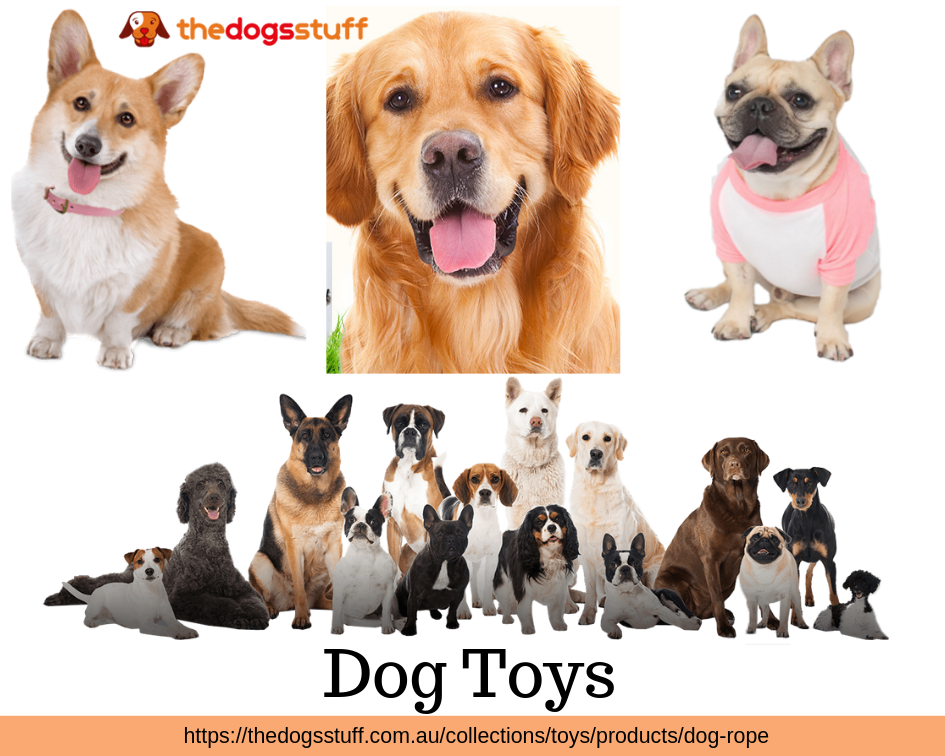 Dog Toy. Are you looking for Dog Toy or dog toys… | by The Dogs Stuff ...