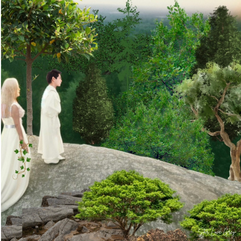 How Trees Were Made The Lark Medium